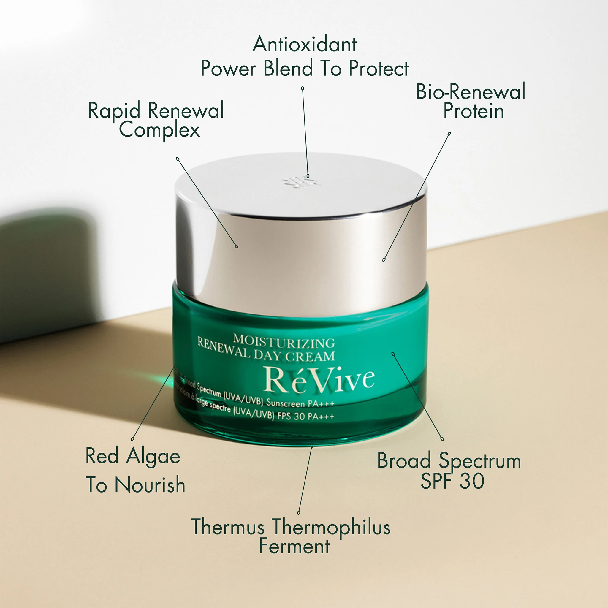 Moisturizing Renewal Day Cream / SPF 30 Broad Spectrum UVA & UVB Sunscreen - Image 5